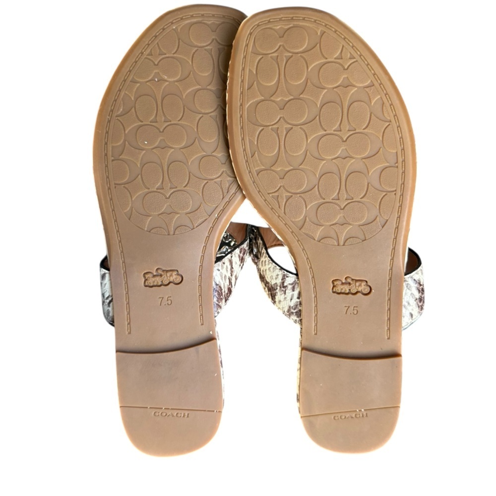 Coach  EUC Jaclyn Python Embossed Leather Logo Chain Thong Sandals Sz 7.5B - Picture 4 of 6
